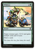 Product image for TCG 145532