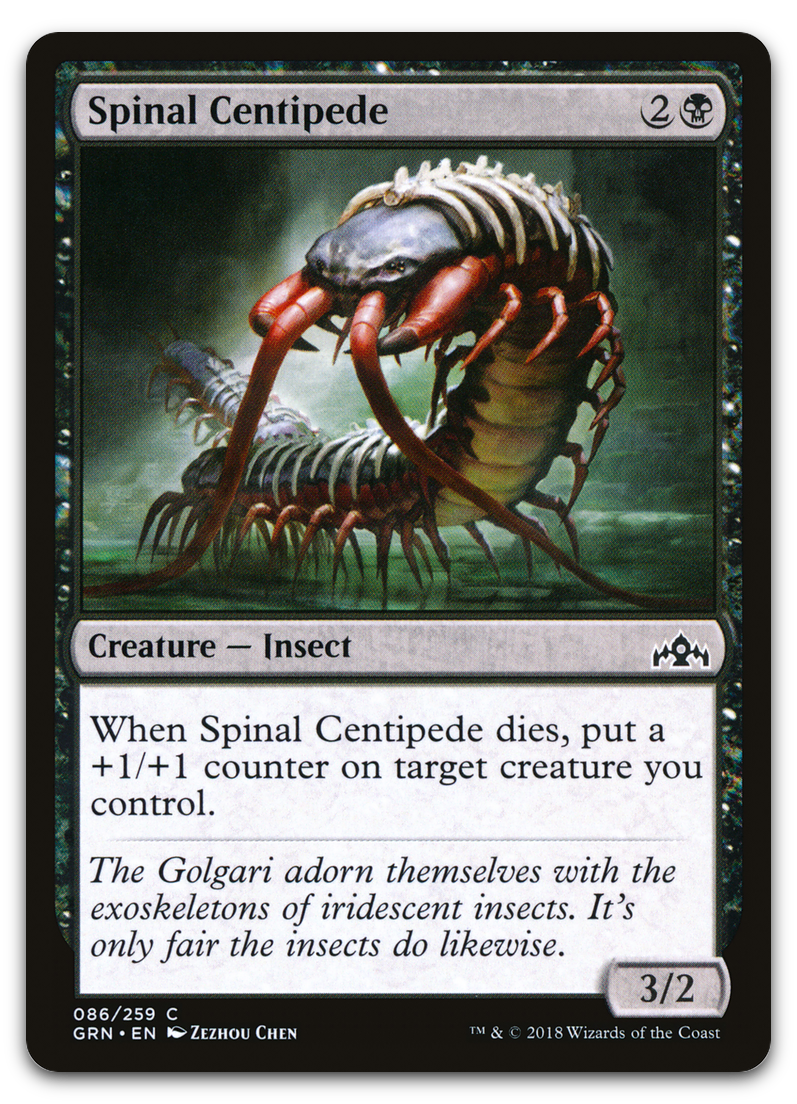 Product image for TCG 176937