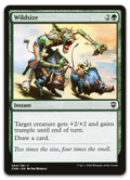 Product image for TCG 227218