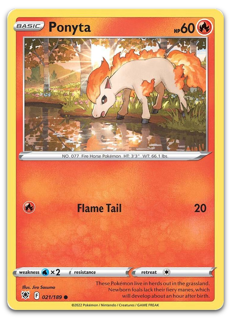 Product image for TCG 272221