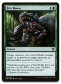 Product image for TCG 283649