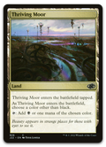 Product image for TCG 455203