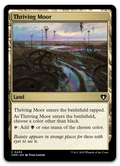 Product image for TCG 503594
