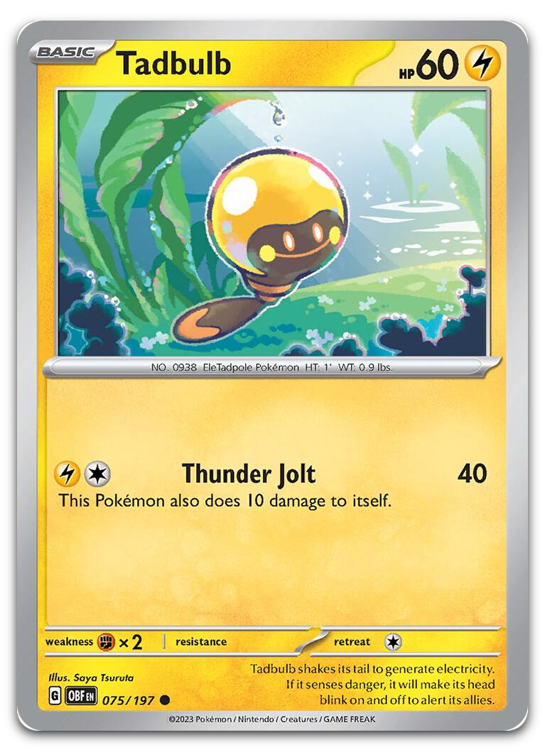 Product image for TCG 509851