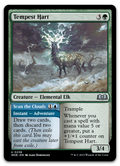Product image for TCG 513007