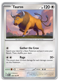 Product image for TCG 516691