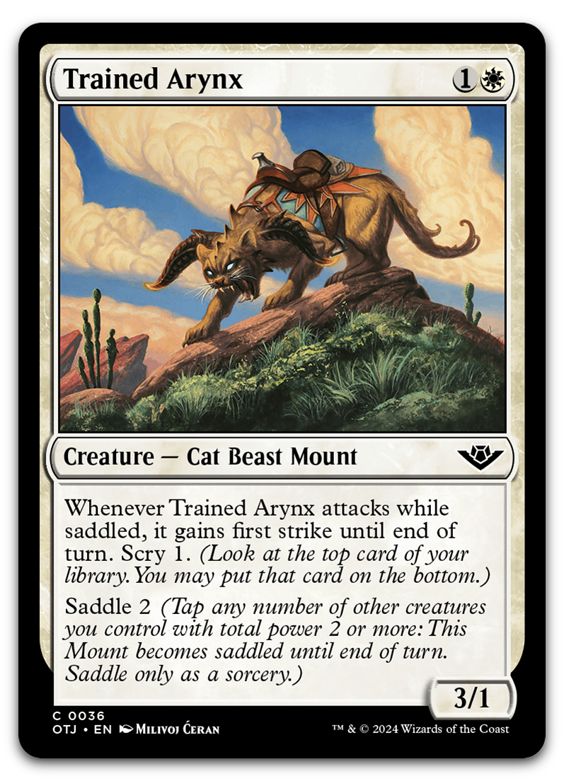 Product image for TCG 544215