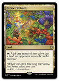 Product image for TCG 559727