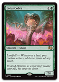 Product image for TCG 590526