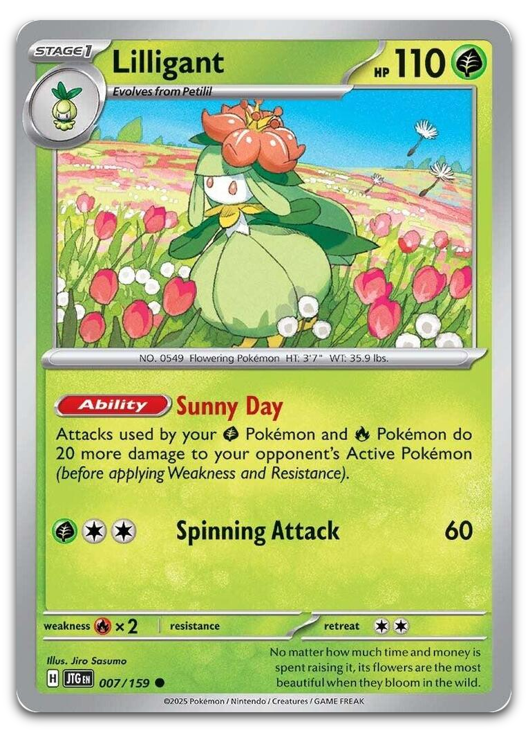 Product image for TCG 623434