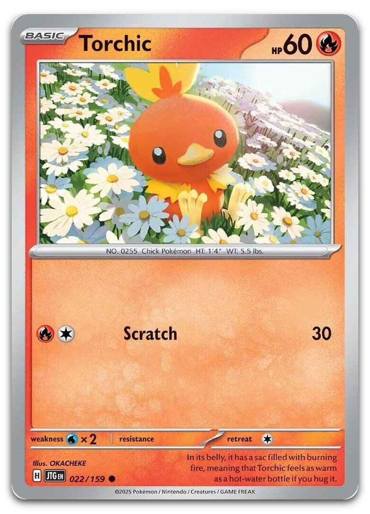 Product image for TCG 623449