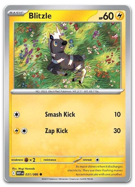 Product image for TCG 642143