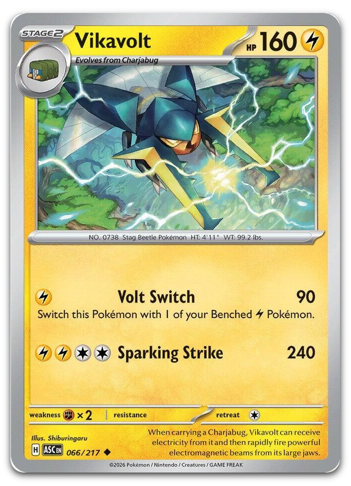 Product image for TCG 675878