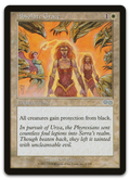 Product image for TCG 6771