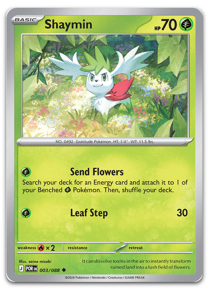 Product image for TCG 684399